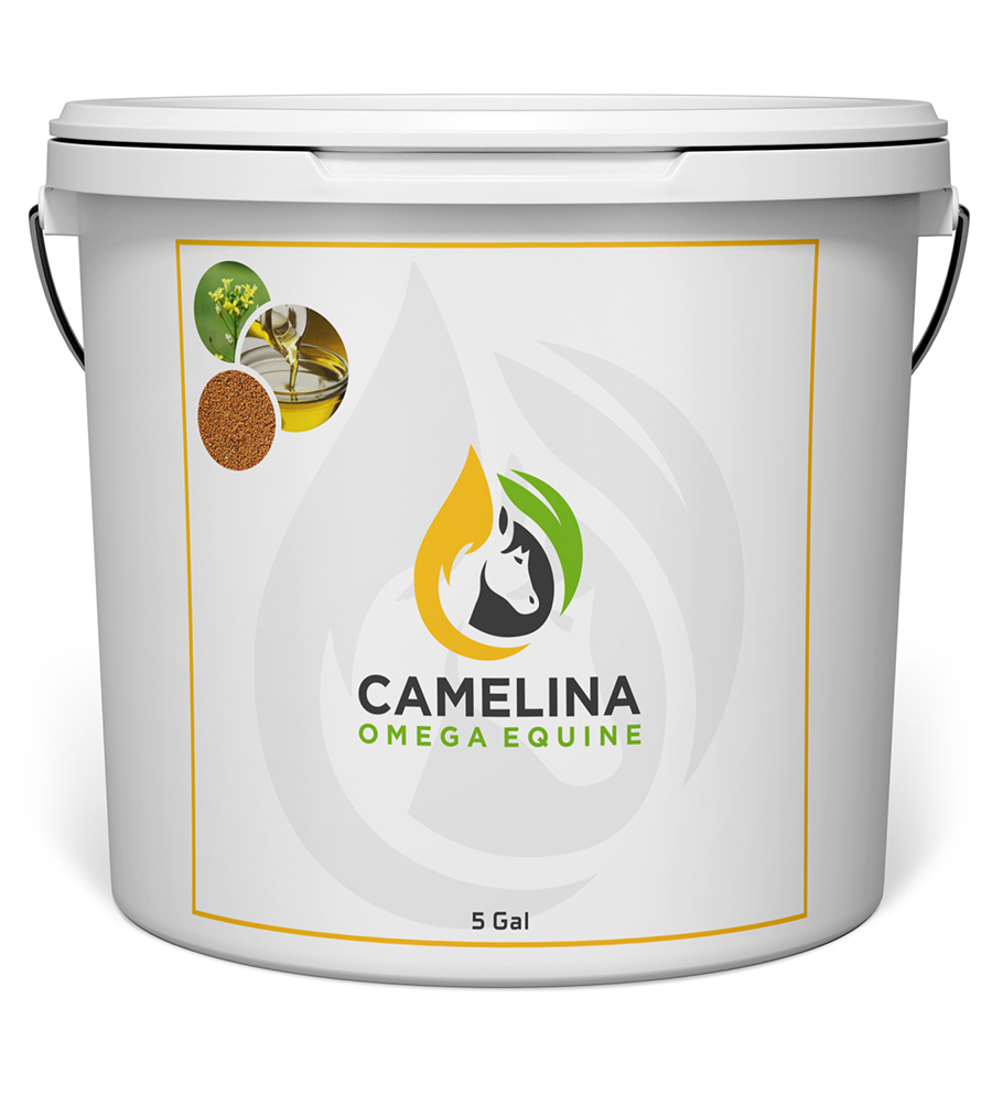 Camelina product - 5 gallons